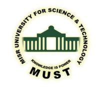 Misr University For Science and Technology